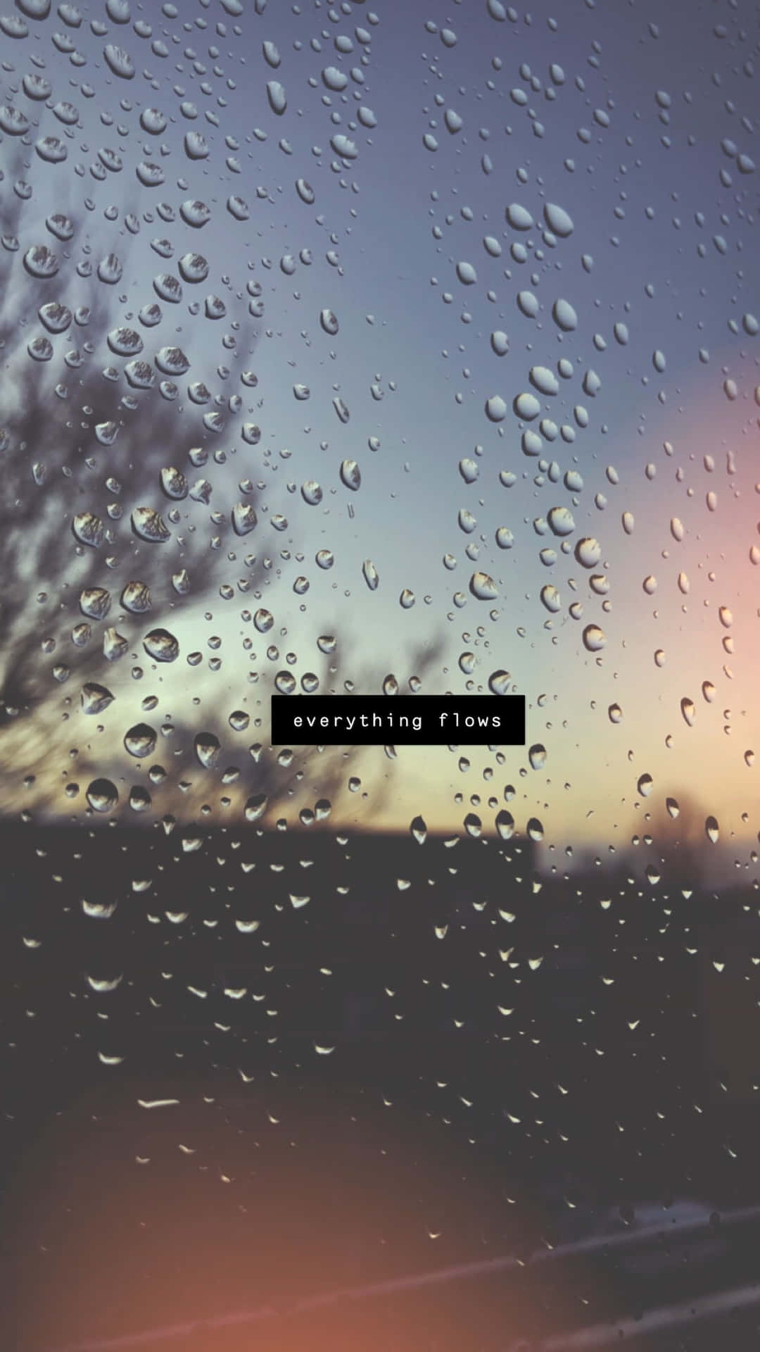 車窗上的雨滴，背景有夕陽和樹影。
