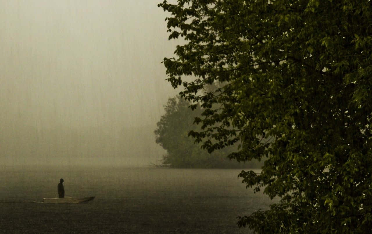 一個人在下雨的湖上划船，霧氣和樹枝映入眼簾。