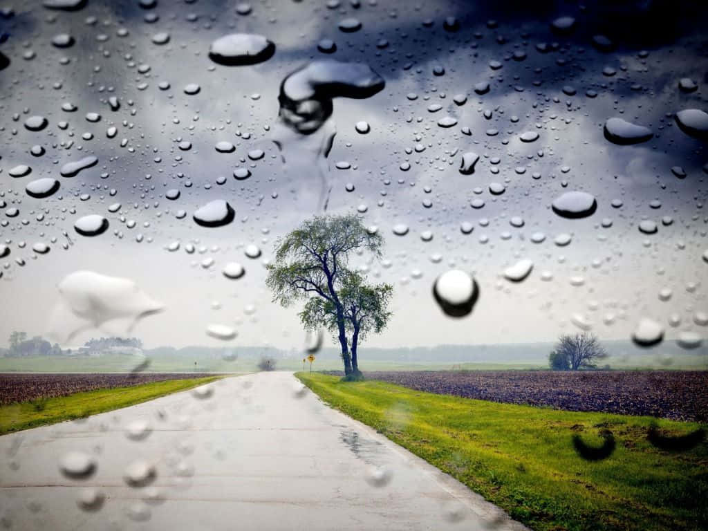 雨天背景 壁紙