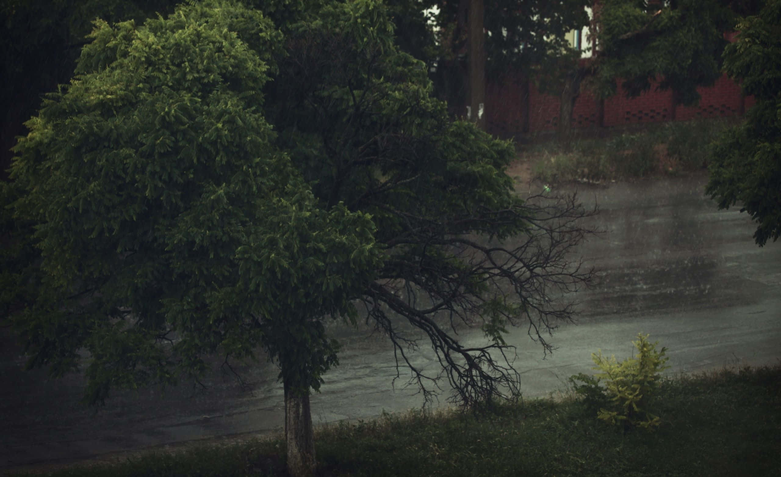 雨天背景 壁紙