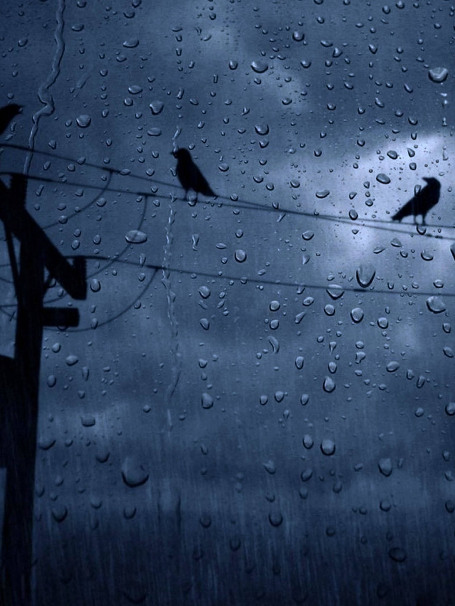 雨天與鳥兒 壁紙 — 透過濺滿雨水的玻璃，看到剪影鳥兒棲息在電線上，背景是暴風雨的天空。