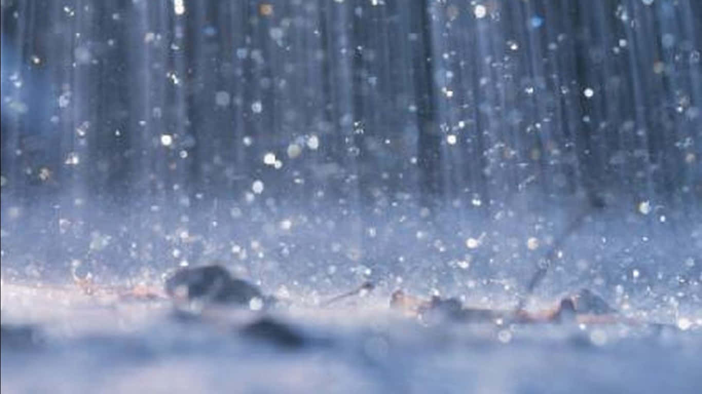 雪花在冬日森林中輕輕飄落，樹木模糊，地面結霜。