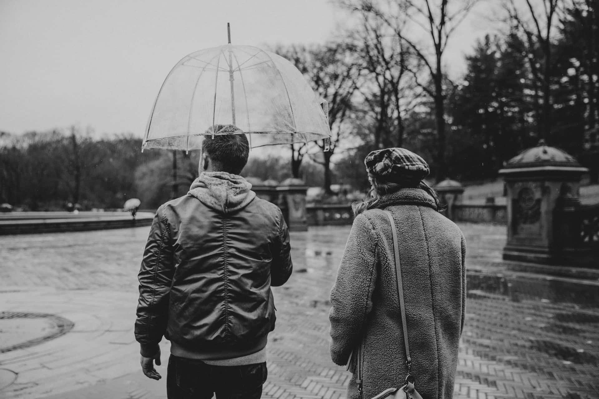 兩個人喺雨中撐住遮穿過公園。