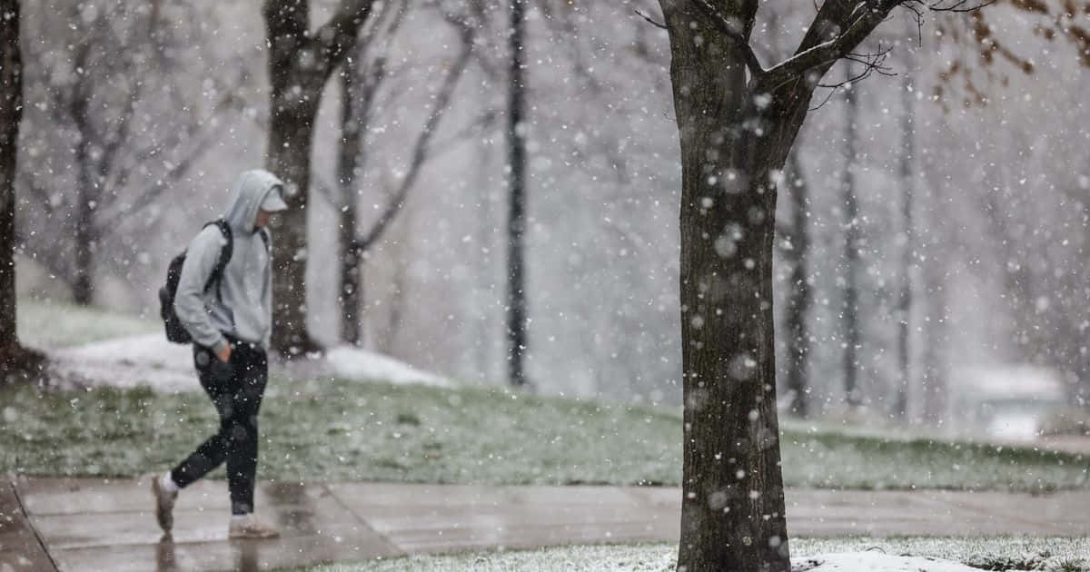 一個人在冬日裡走在積雪的公園中。