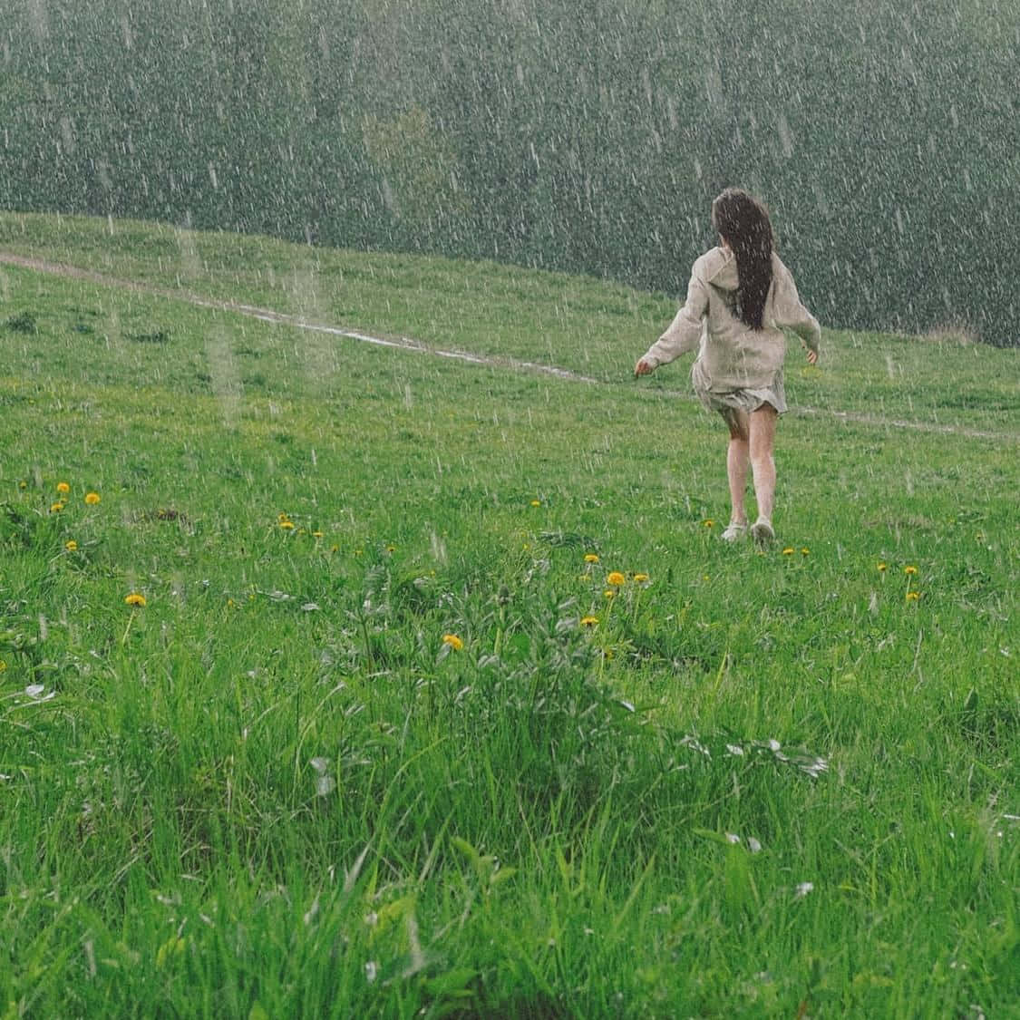 女孩在雨中草地奔跑，有蒲公英