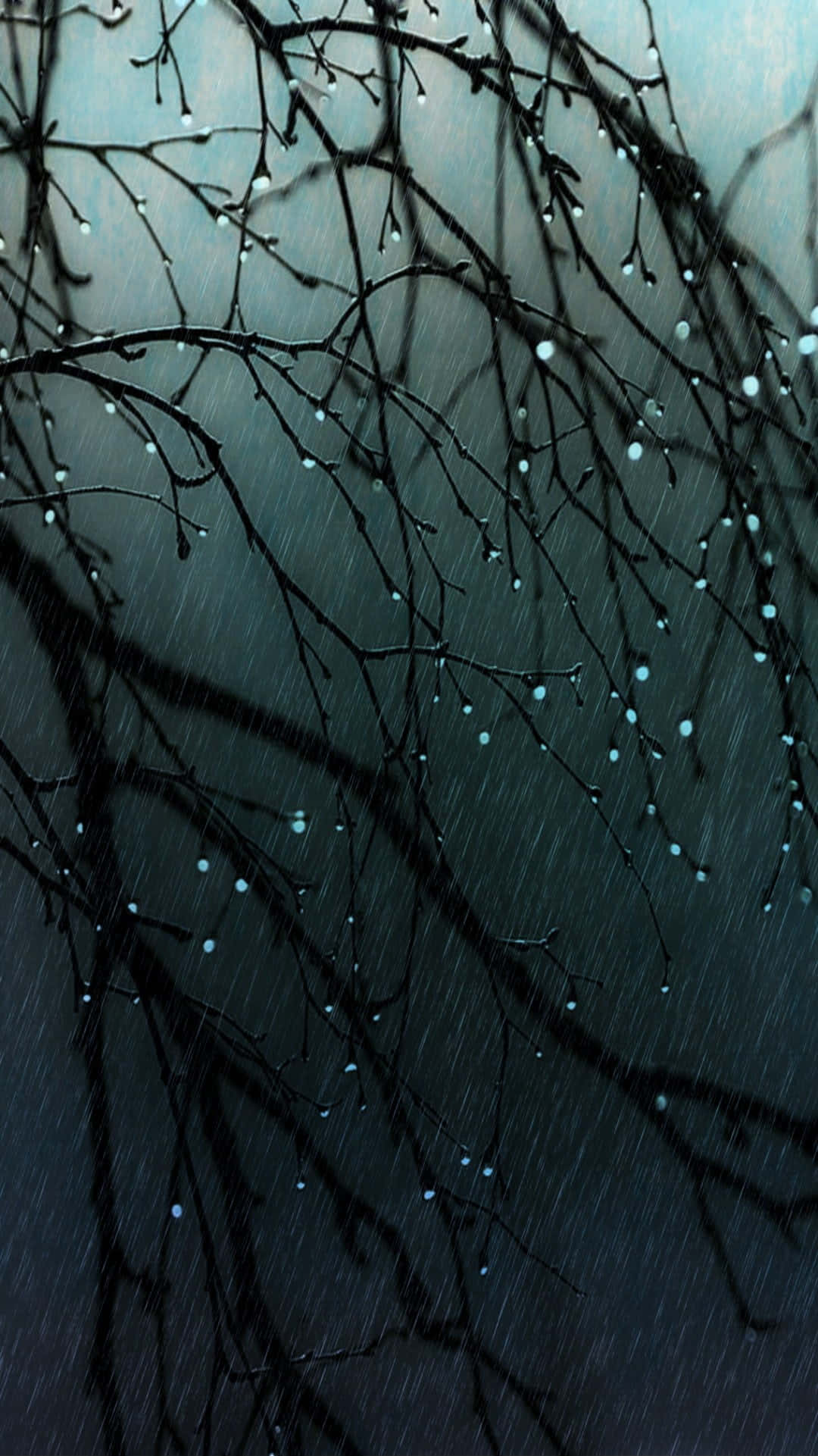 雨日背景 壁紙
