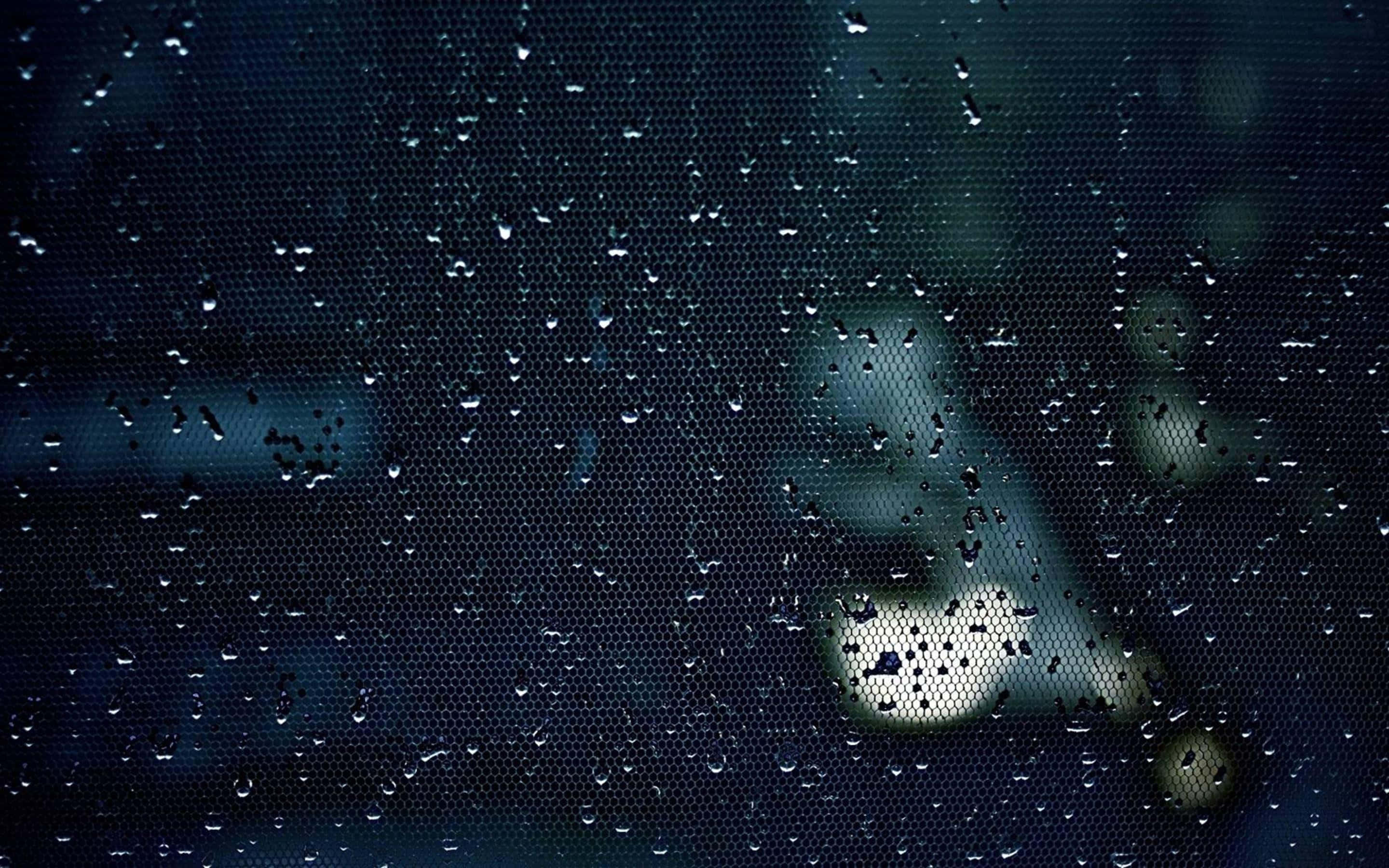 Focus 桌布 壁紙 — 雨滴依附在深色網格屏幕上，模糊的城市燈光在背後微弱地發光。