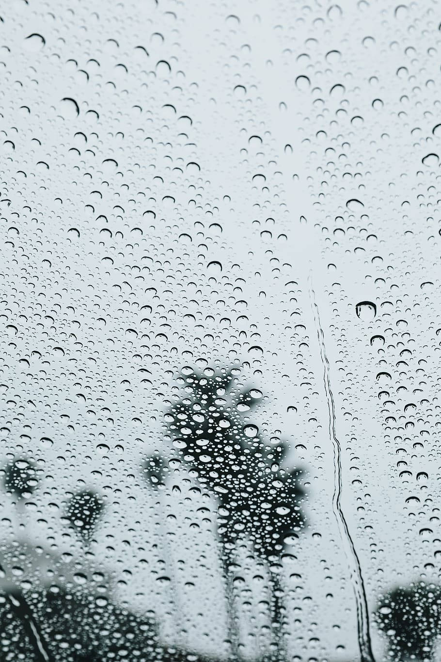 藝術 桌布 壁紙 — 雨滴依附在玻璃表面，模糊了灰色天空下黑色樹木剪影的景色。