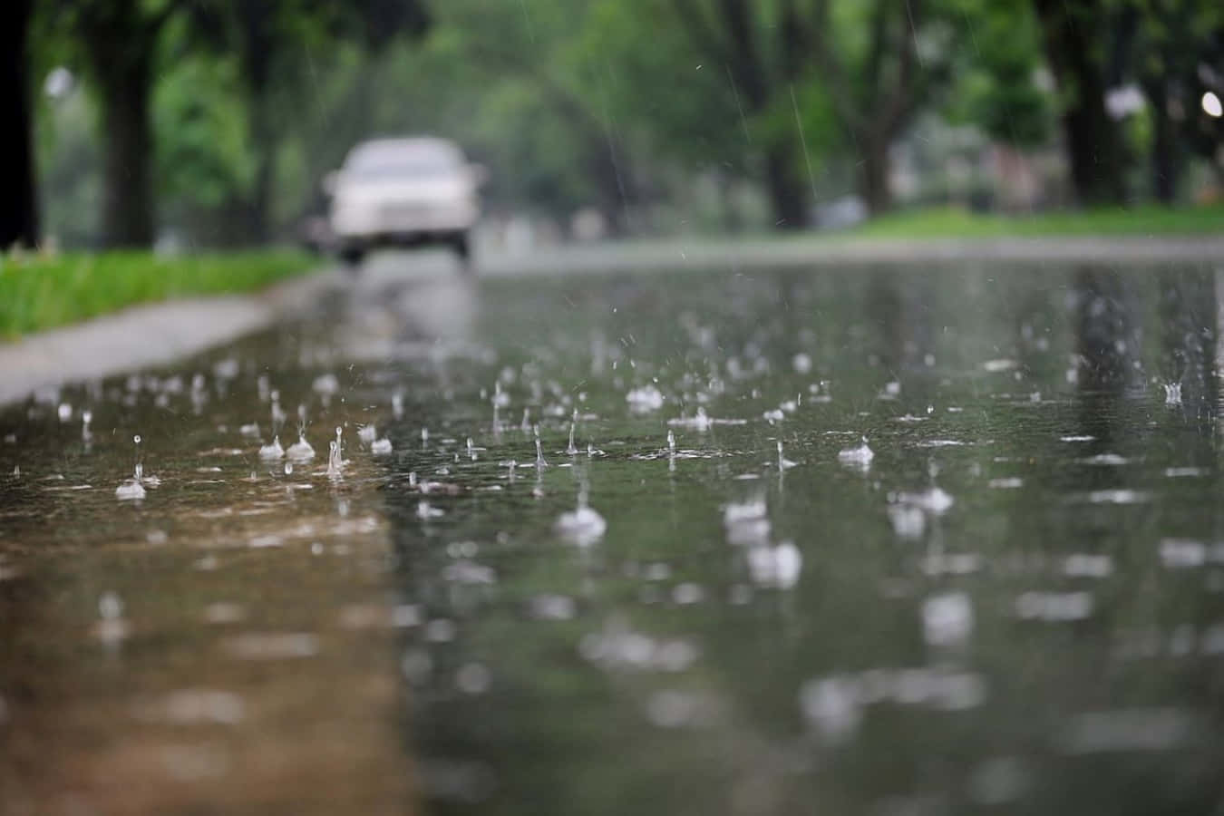 Raining 桌布 壁紙 — 雨滴在濕漉漉的瀝青路上生動地飛濺，一輛模糊的汽車穿過綠樹駛離。