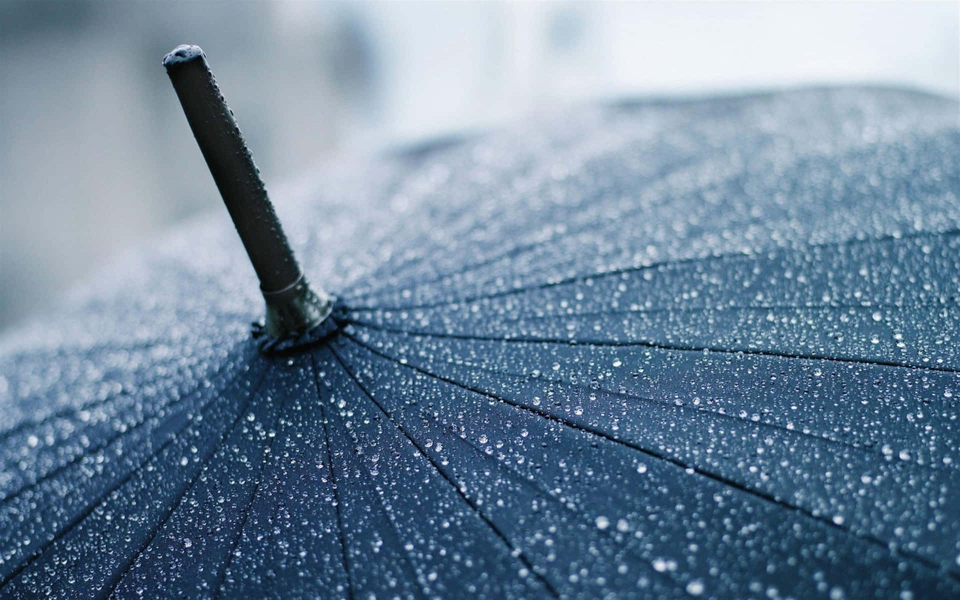 藍色雨傘嘅特寫，表面有雨點。