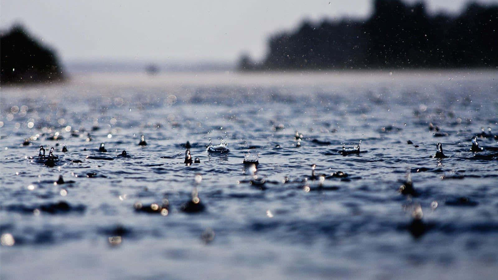 雨滴在水面上濺起水花的特寫，背景有模糊的樹木。