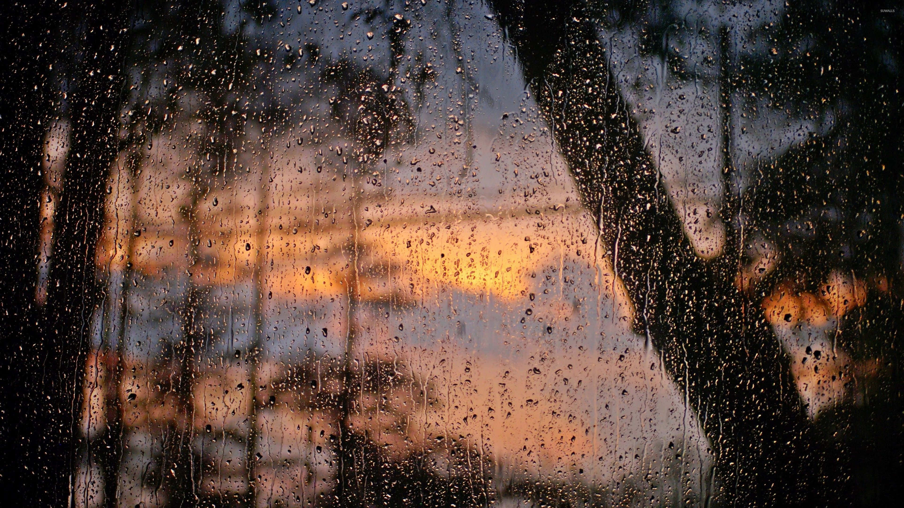 Raining 桌布 壁紙 — 雨滴沿窗戶流下，露出黑暗樹影後溫暖的橙色日落。