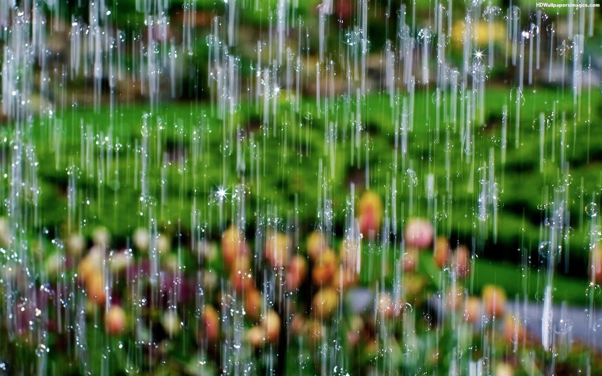 雨滴落在一個充滿活力的花園上，在模糊的花朵上閃閃發光。