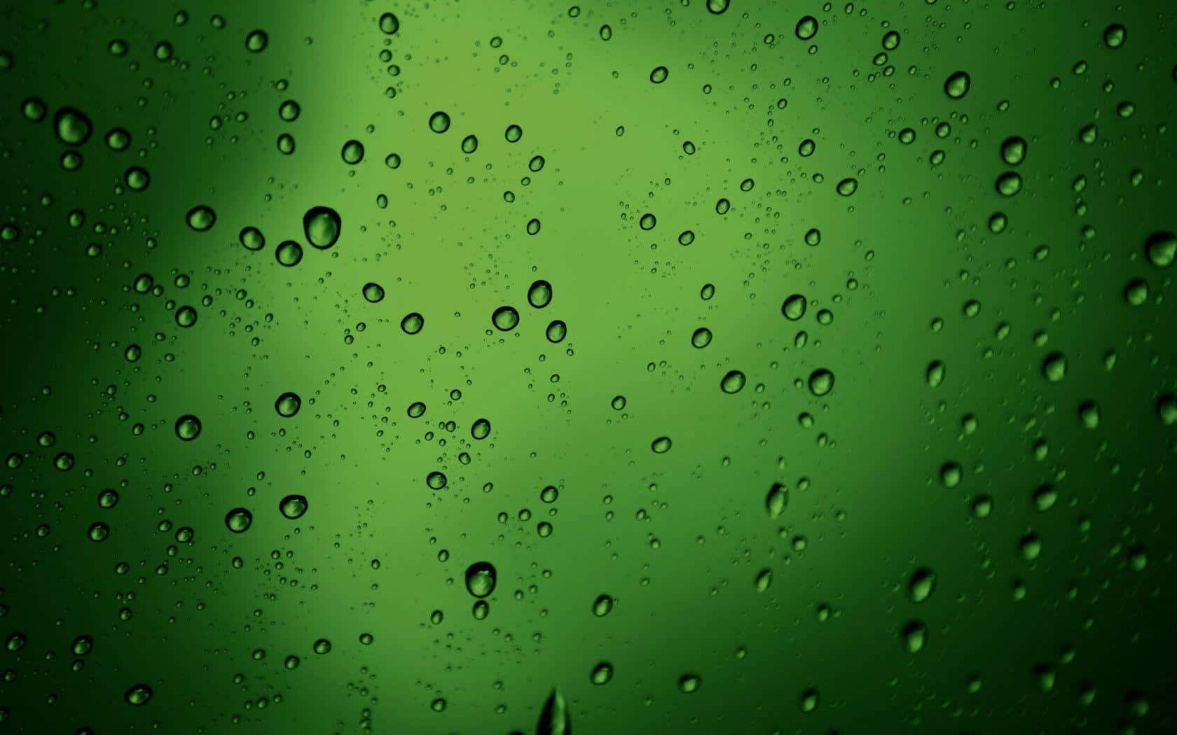 帶有雨滴的綠色玻璃，營造出柔和模糊的背景。