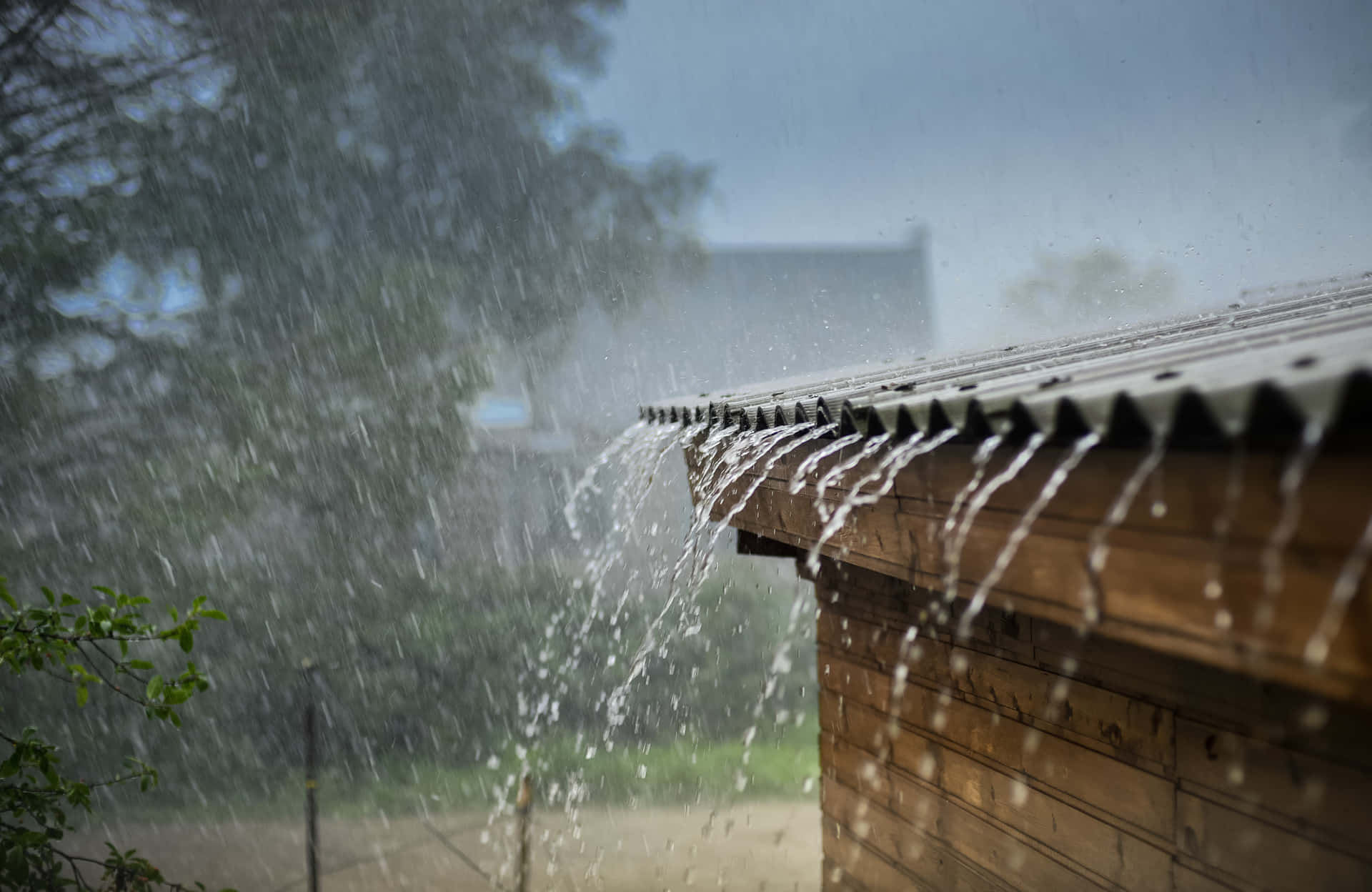 暴風雨期間，雨水從木造建築的屋頂流下。