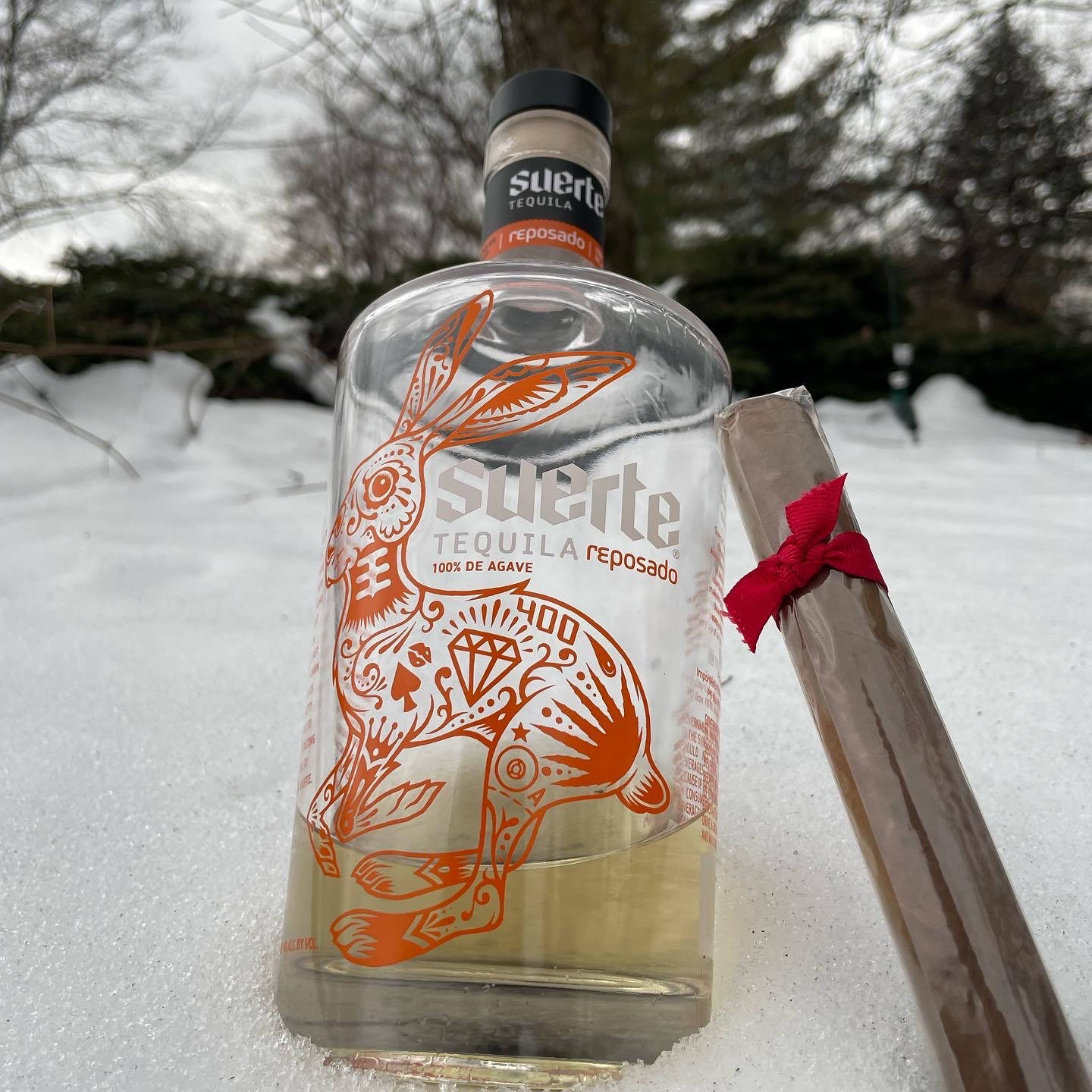 雪中的兔子設計龍舌蘭酒瓶和雪茄。
