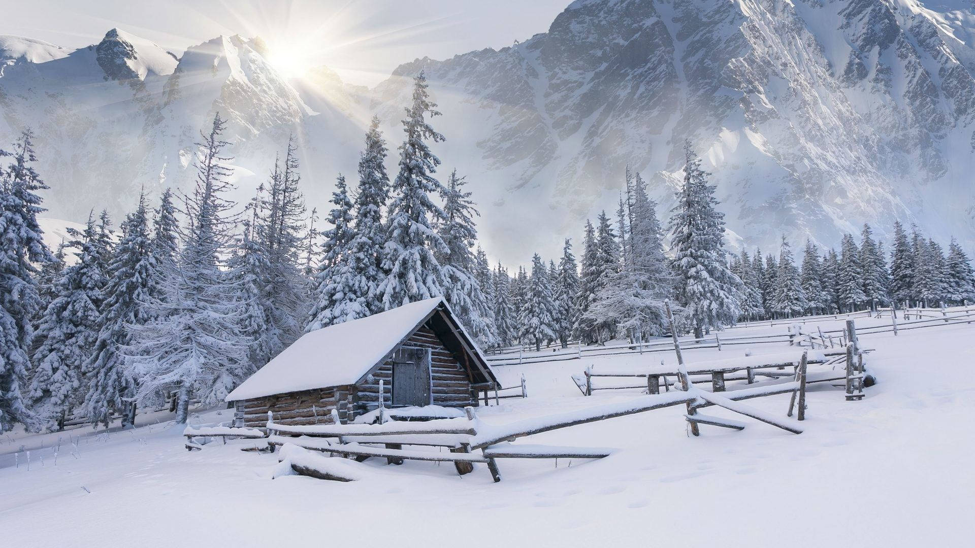 雪中寧靜：迷人的冬季避世之所 壁紙 — 一間被雪覆蓋的木屋坐落在冬季森林中，陽光穿過雪山照射進來。