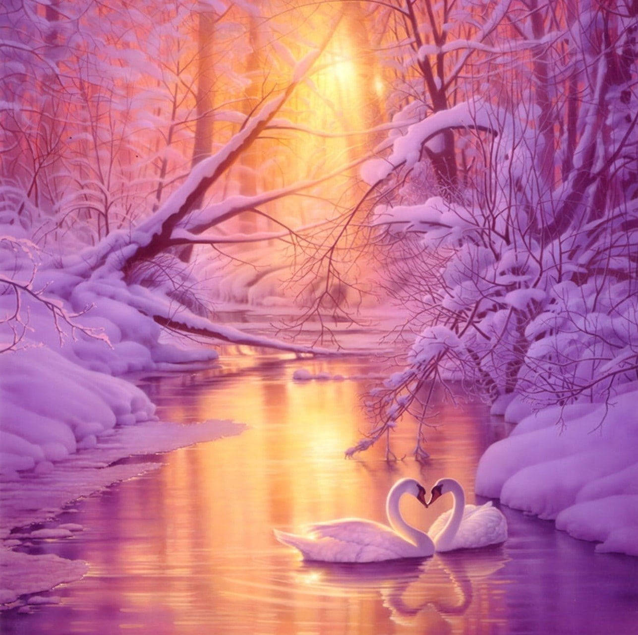 兩隻天鵝在雪白的森林河流中於夕陽下形成心形。