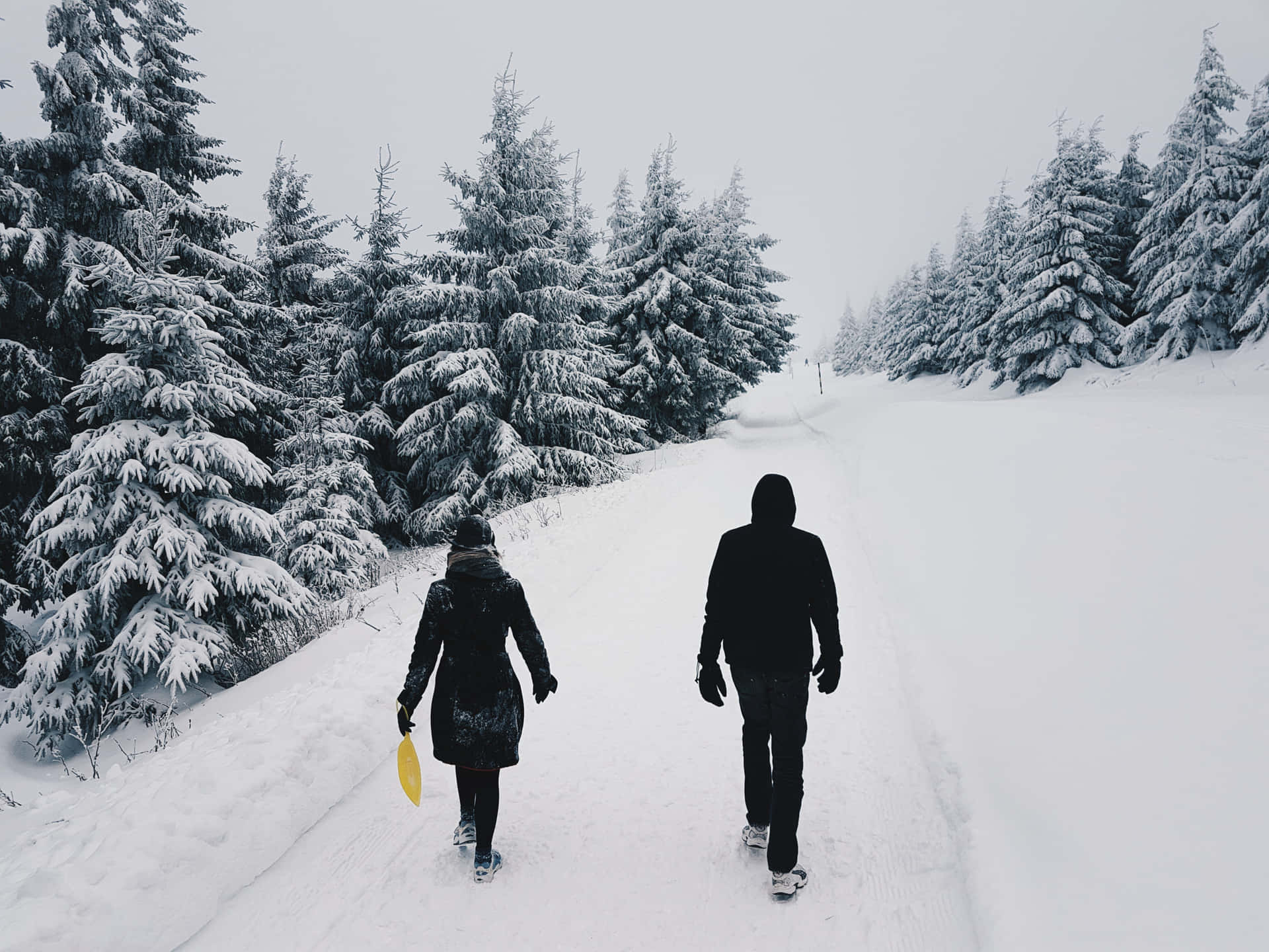 兩個人在冬季森林中的雪徑上行走。