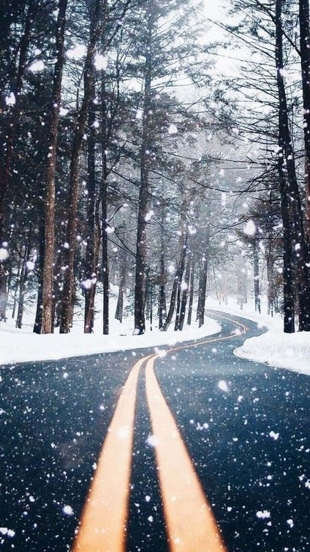 雪中空曠道路手機壁紙 壁紙 — 一條蜿蜒的積雪道路穿過茂密的松樹林，雪花輕輕飄落在發光的黃色車道標記周圍。