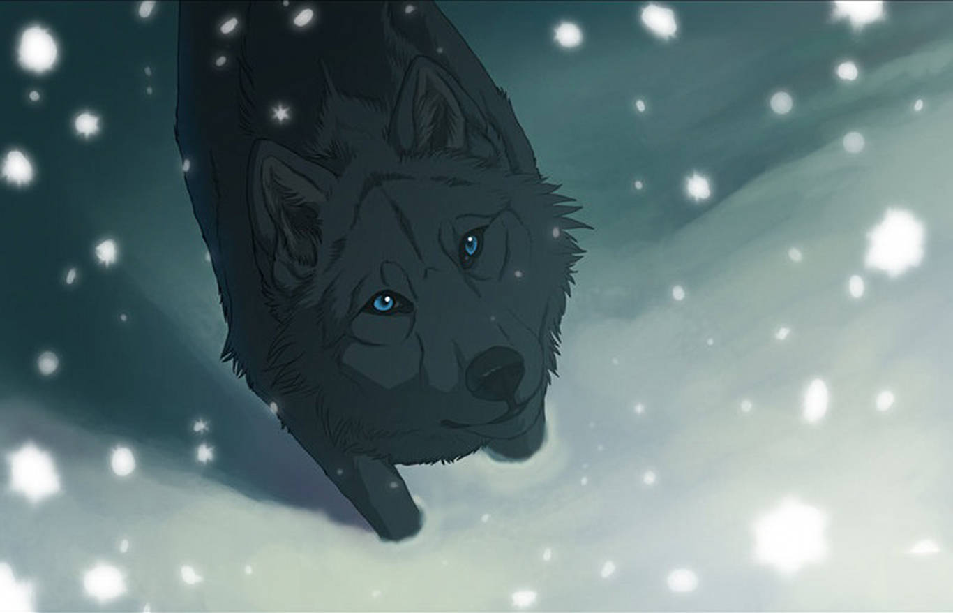 黑狼藍眼睛在夜間飄雪中向上看。