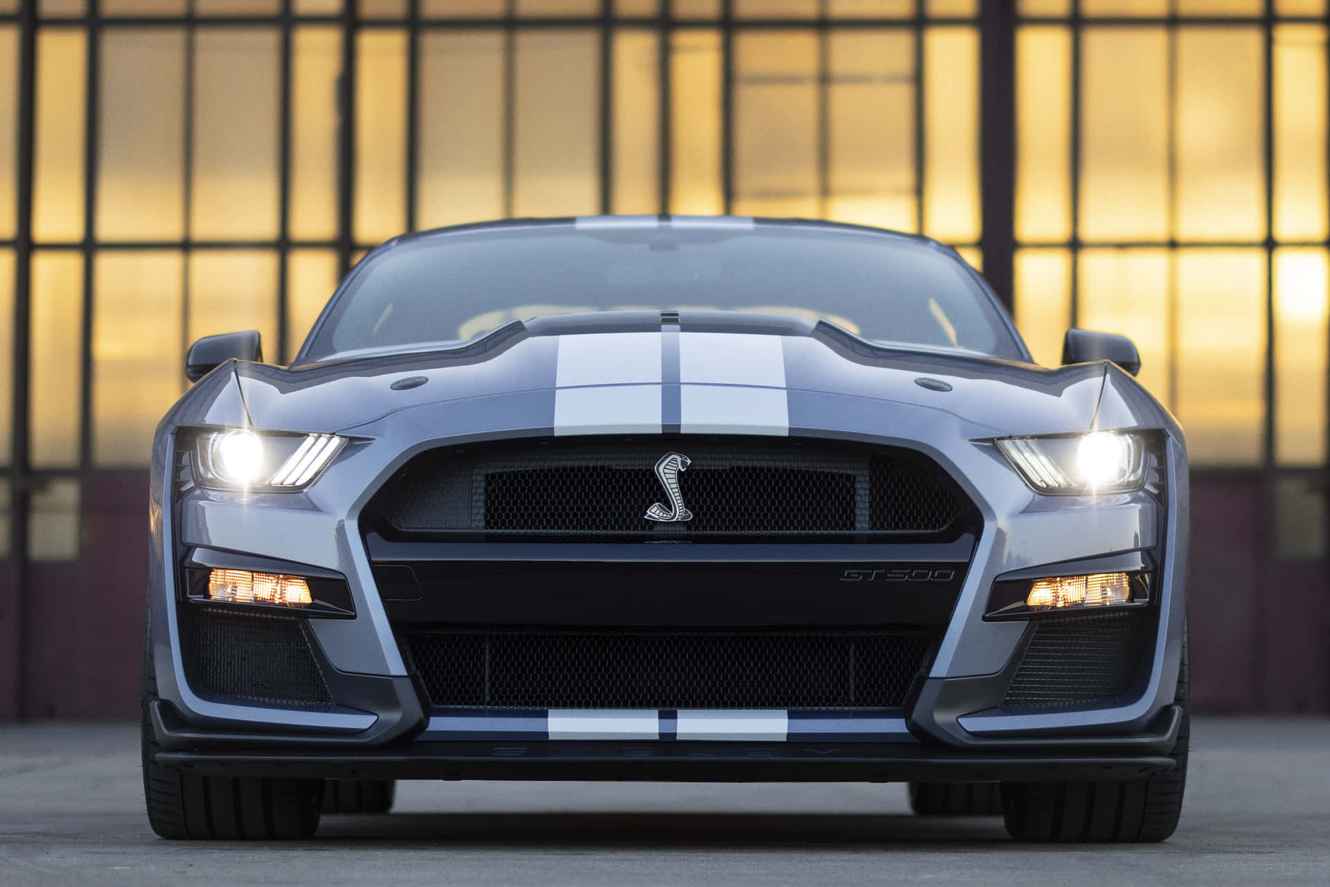 銀色Shelby GT500跑車，帶有白色條紋，停在夕陽映照的工業建築前。