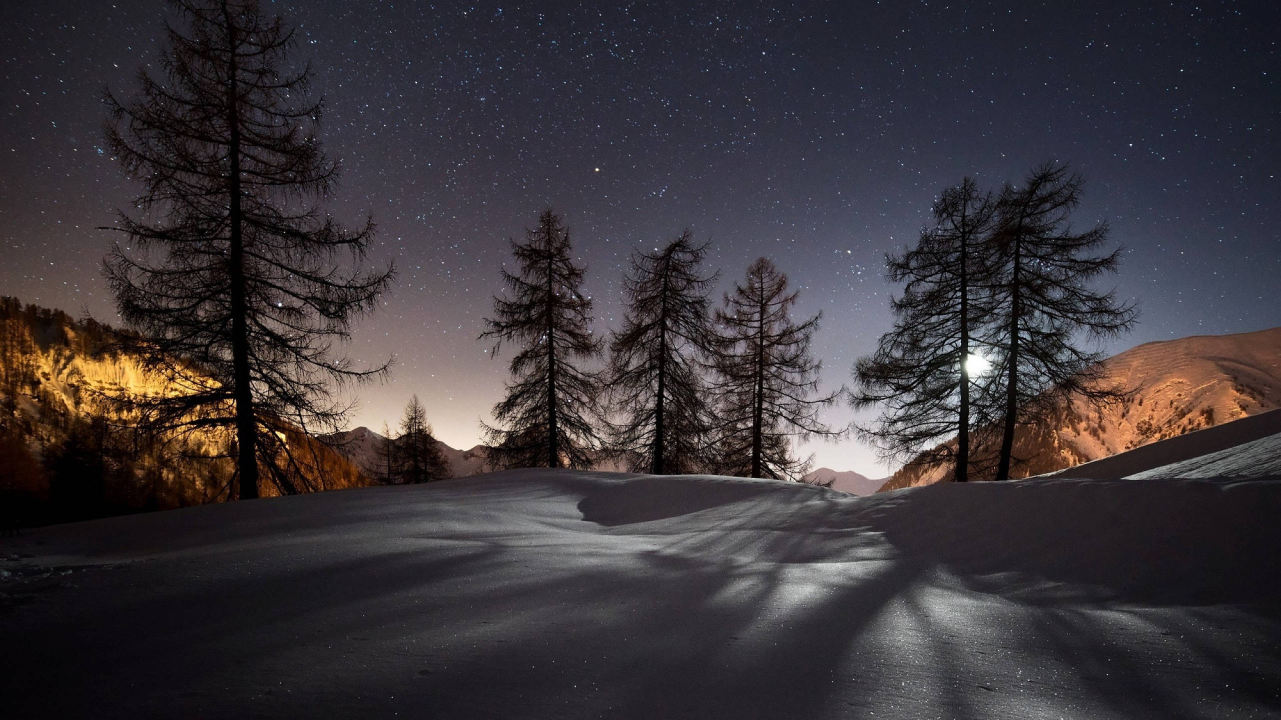 雪地 Google Meet 虛擬背景 壁紙 — 積雪的山脊在星空下，襯托著松樹的剪影和發光的月亮。