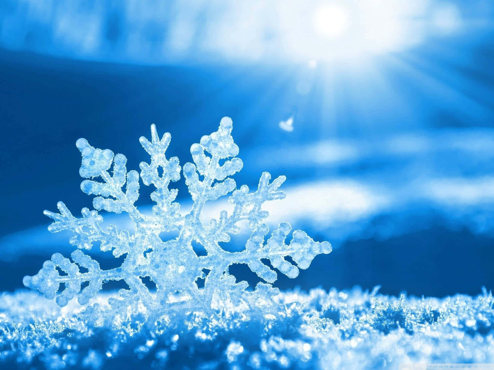 雪地上靜臥的雪花 壁紙 — 一片精緻的雪花在陽光四射的湛藍冬日天空下，清晰聚焦閃爍。