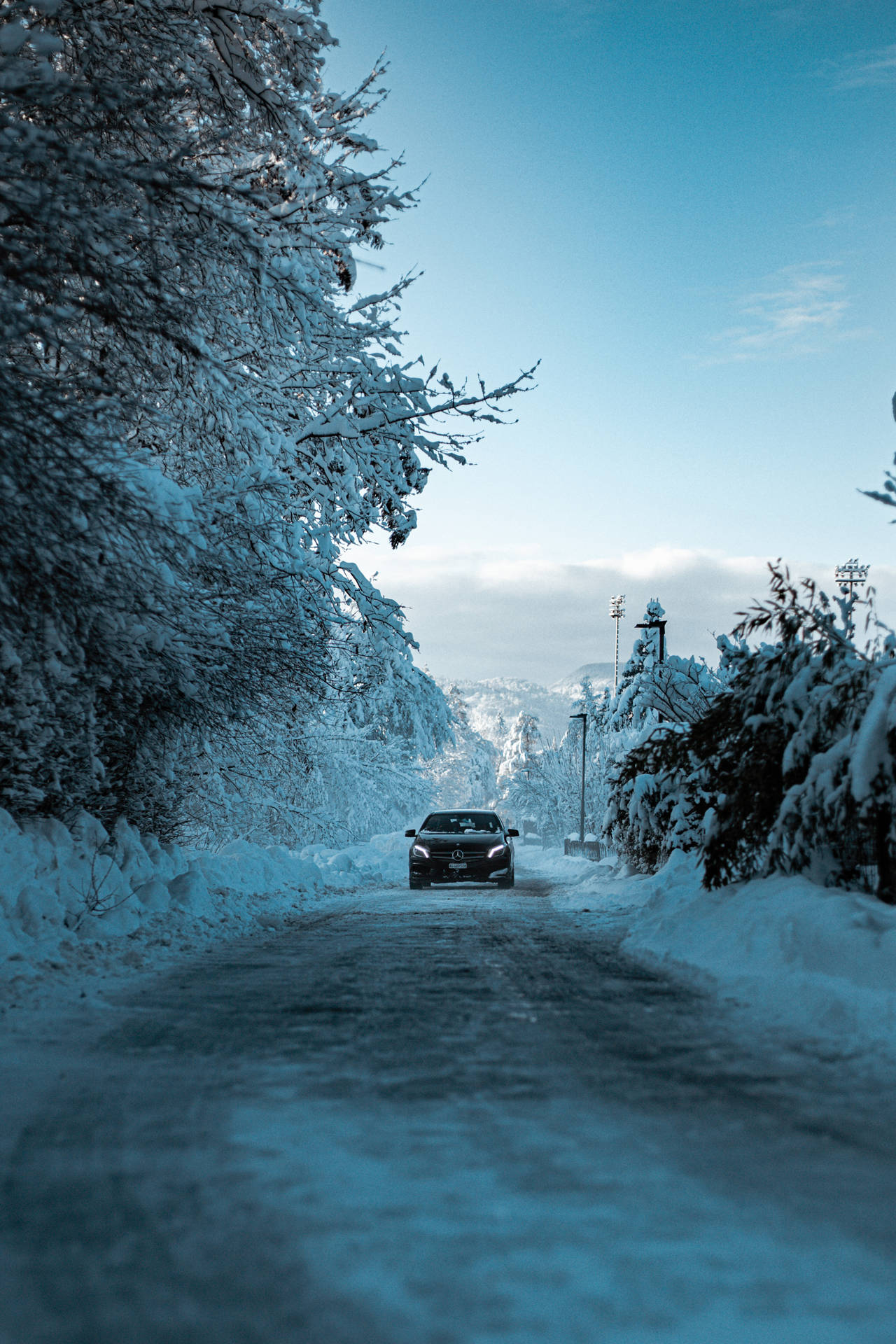 藍天下穿過冬季森林的雪路上的黑色汽車