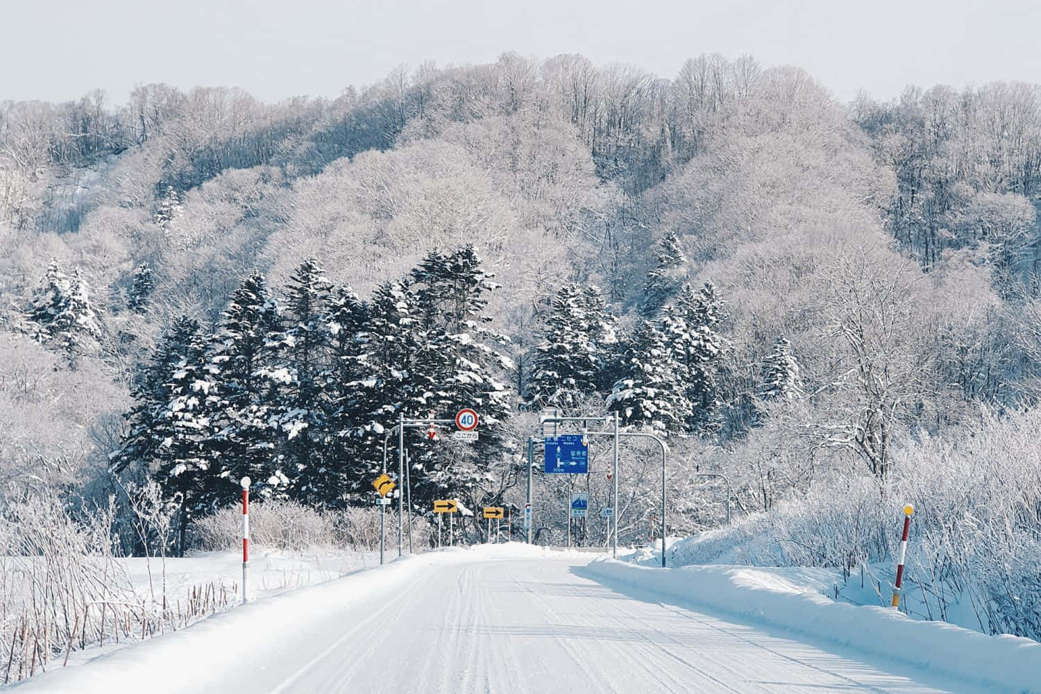 在蒼白的冬日天空下，一條雪路兩旁是結霜的樹木和山丘。