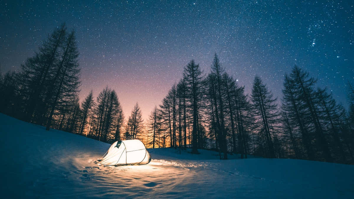 在星空夜空下，雪地森林中發光的帳篷