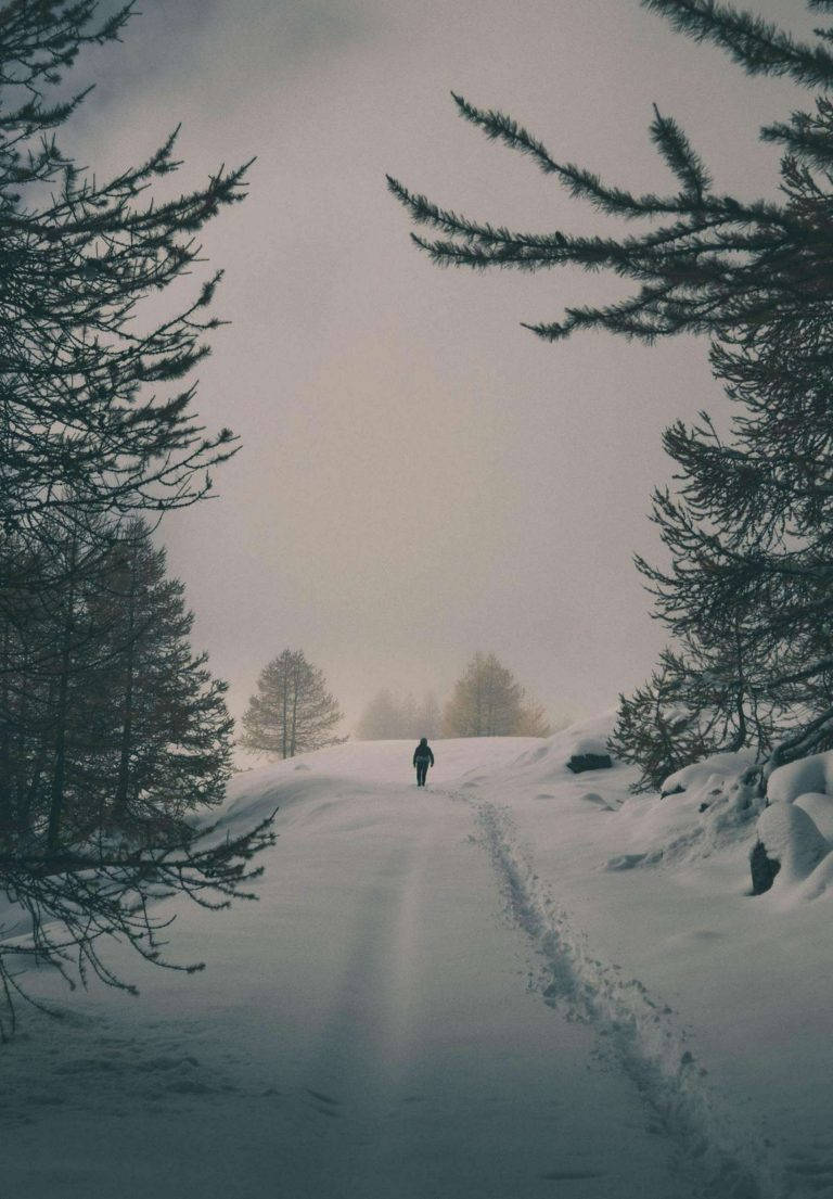 一個人在冬日森林的雪徑上獨行，天空朦朧。