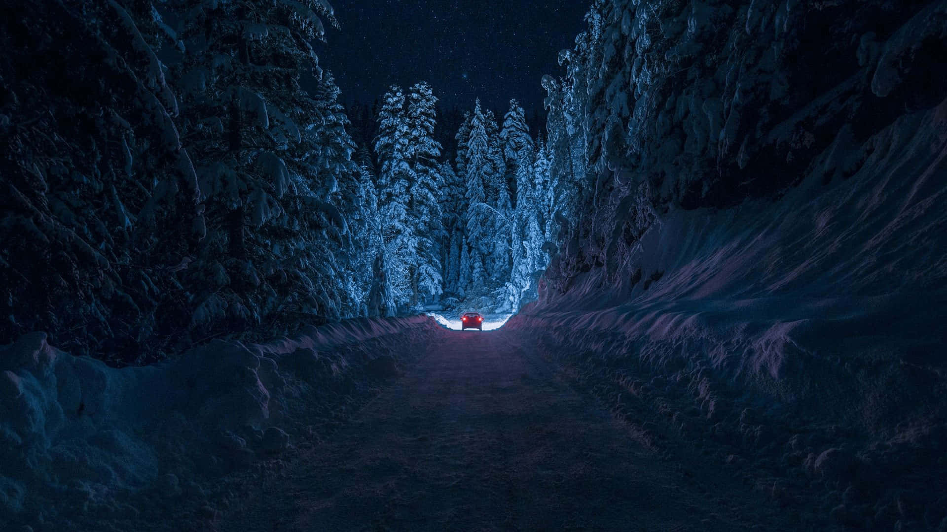 紅色汽車在星空下行駛於雪地森林