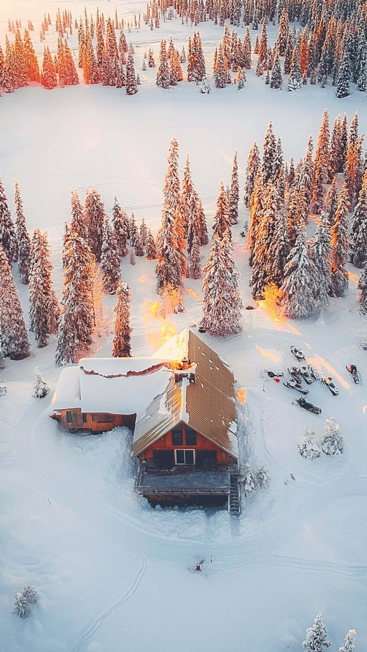 Cozy Winter Cabin 桌布 壁紙 — 雪地松樹林中溫馨木屋的鳥瞰圖，沐浴在金色夕陽下。