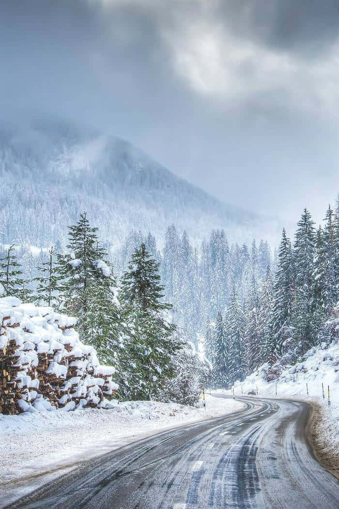 陰雲天空下蜿蜒穿過松樹林的積雪山路