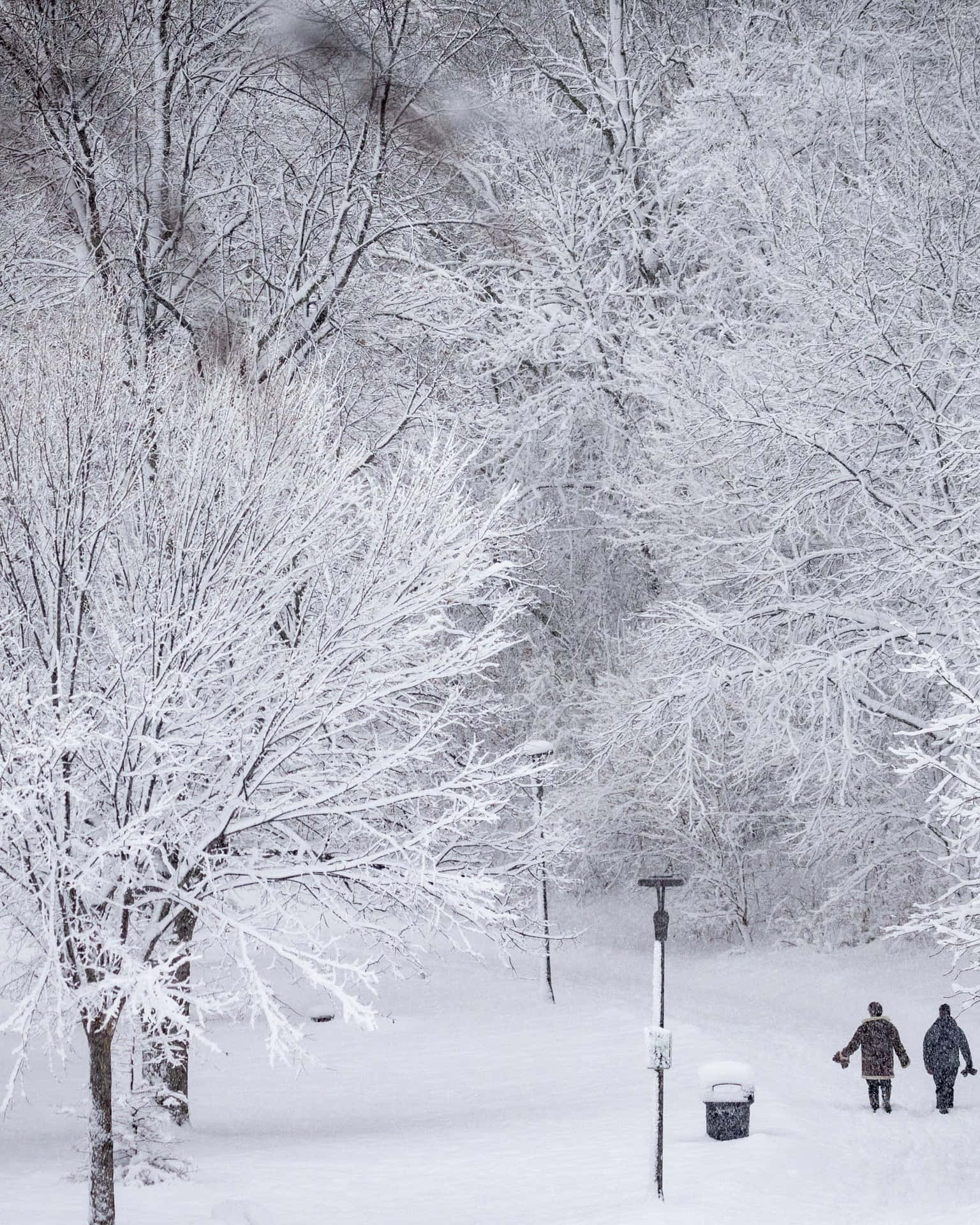 兩個人走過一個白雪覆蓋的公園，樹木結霜。