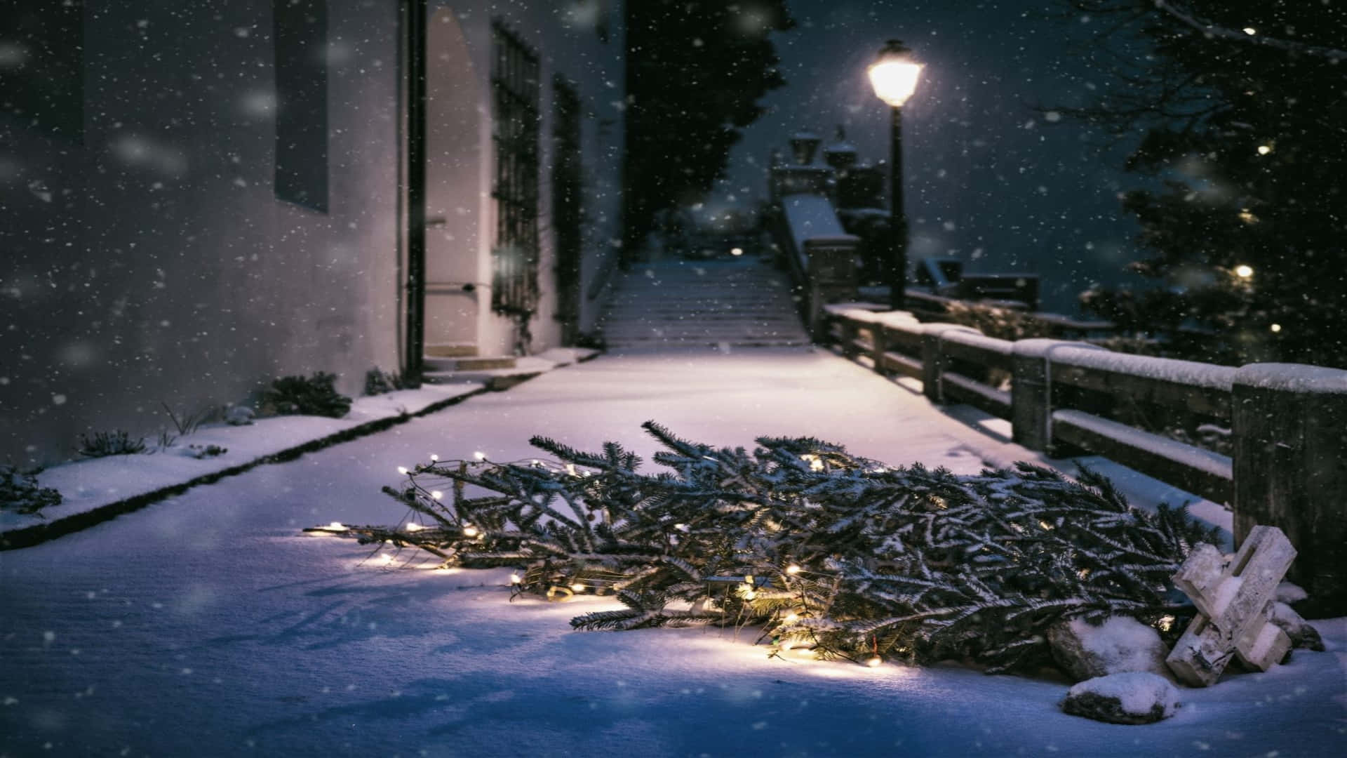 雪地聖誕樹節日團隊背景 壁紙 — 夜晚被雪覆蓋的小徑上，一棵被丟棄的聖誕樹在飄落的雪中閃爍著燈串的光芒。