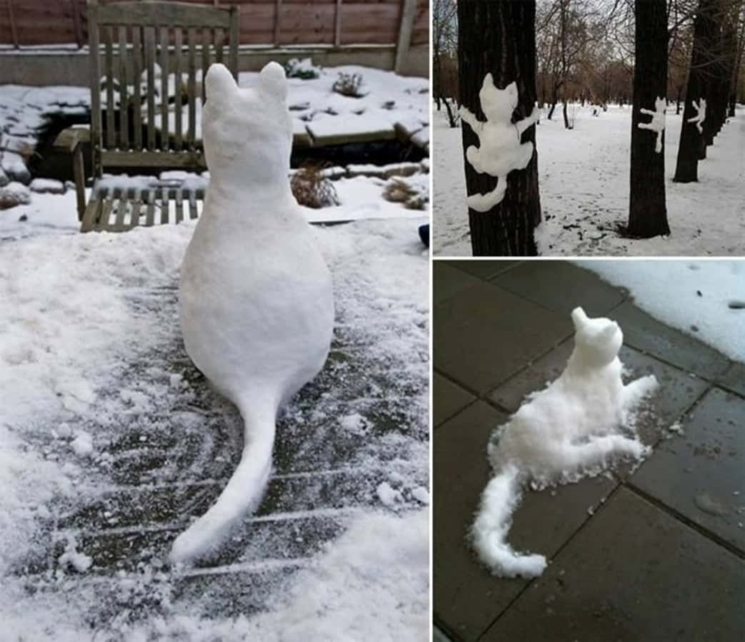 冬季花園和森林中的雪貓雕塑