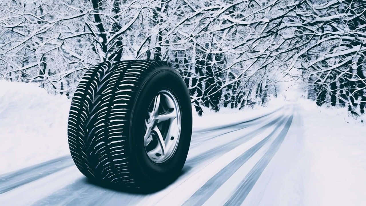 Winter Tires 桌布 壁紙 — 雪地路上冬季輪胎的特寫，路邊排列著積雪覆蓋的樹木。