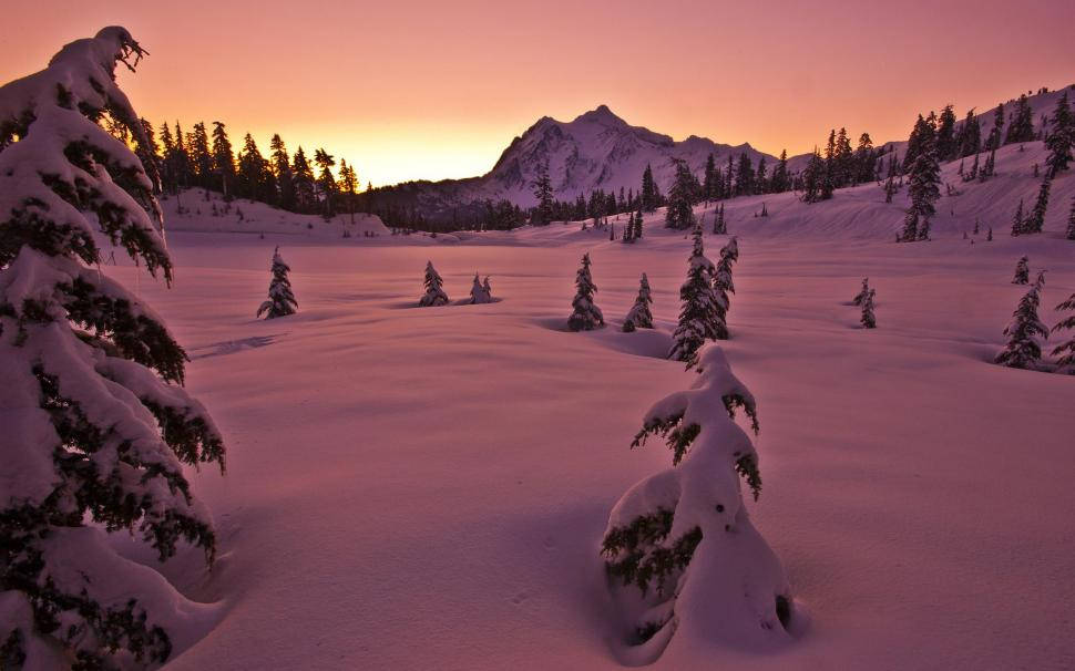 雪地黃金時刻美學 Mac 壁紙 — 白雪覆蓋寧靜的冬季森林，山峰在粉紅和橙色的日落天空下閃耀。