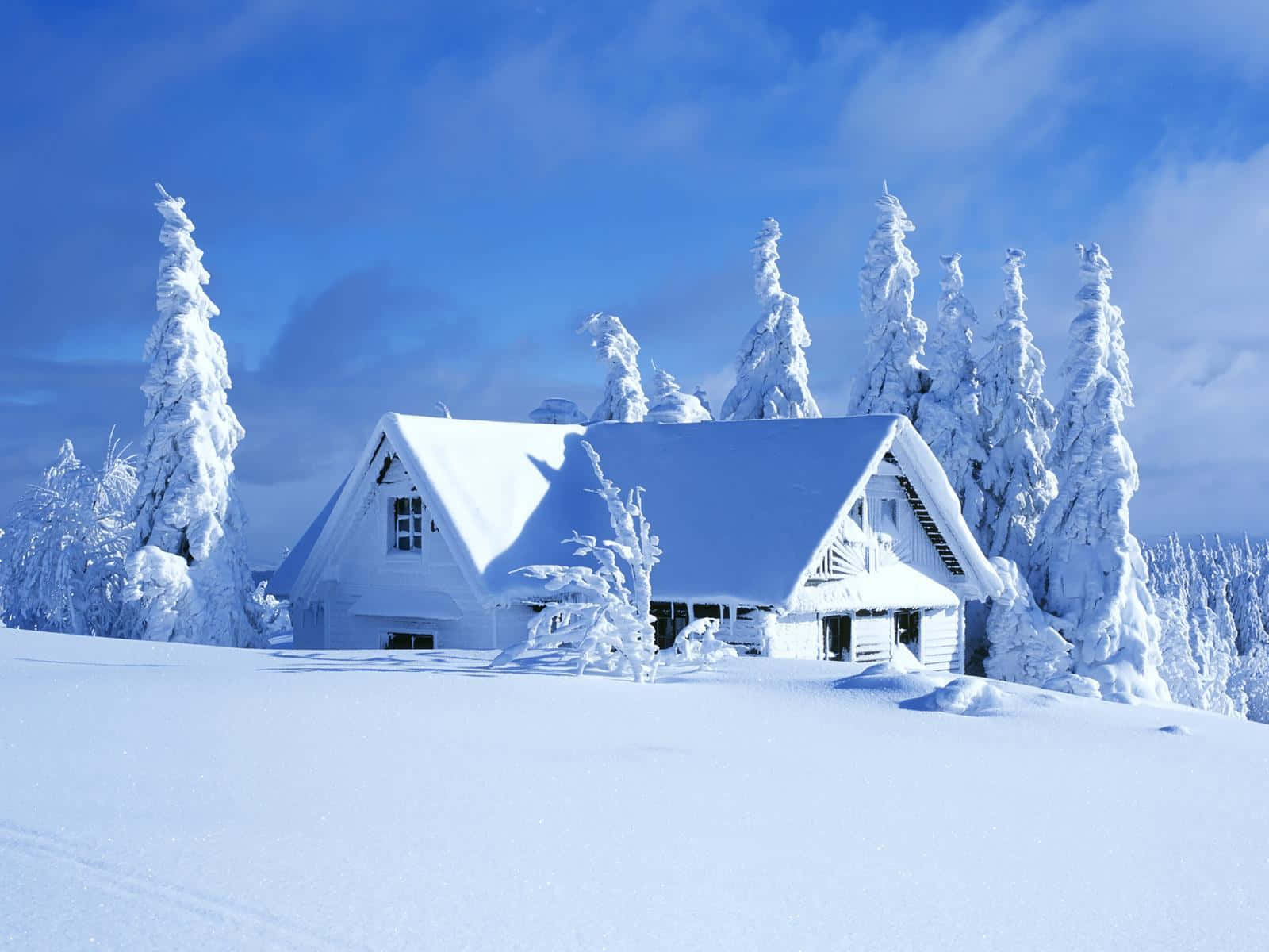 雪坡上的白色小屋 壁紙 — 一間舒適的白色小屋坐落在白雪皚皚的森林中，在明亮的藍天下，樹木掛滿積雪。