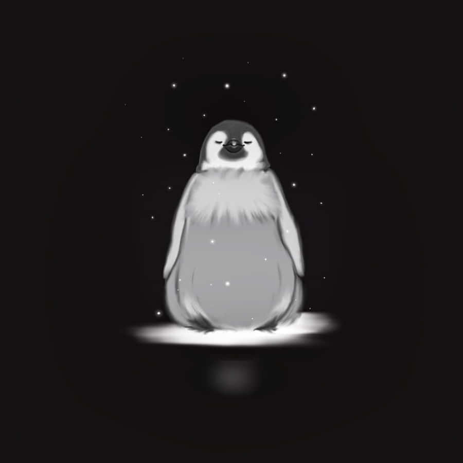 雪夜可愛企鵝照片 壁紙 — 一隻寧靜的黑白企鵝在星空下平靜地坐著，周圍有柔和發光的粒子。