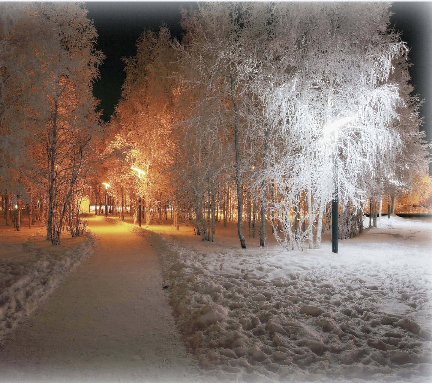 雪夜白樹冬日公園風景 壁紙 — 一條被雪覆蓋的冬夜小徑，兩旁結霜的樹木在街燈下溫暖地發光。