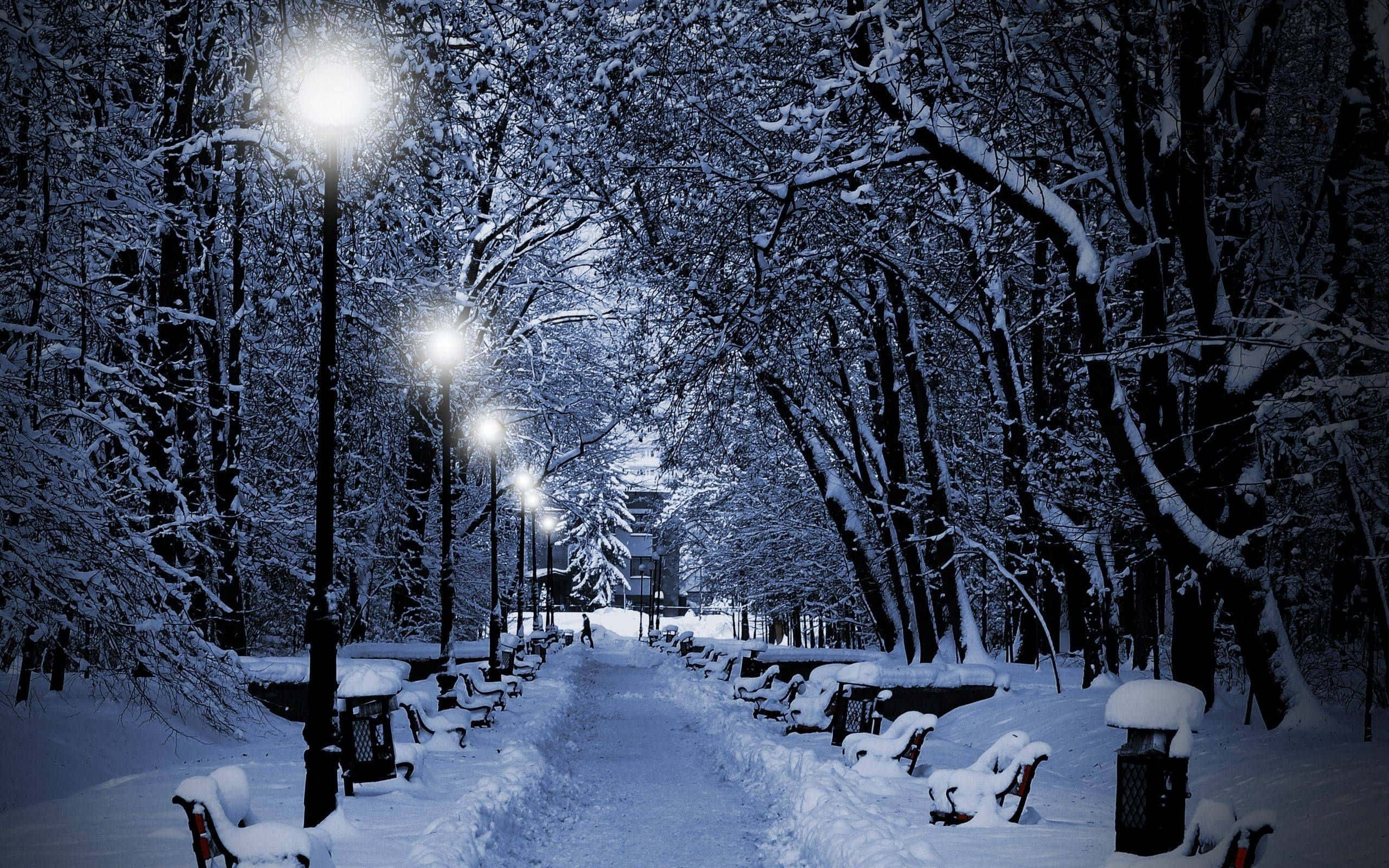 雪天中的溫馨冬日村莊 壁紙 — 一條被雪覆蓋的公園小徑在夜晚被發光的街燈照亮，柔和的光線灑在積雪的樹木和長椅上。
