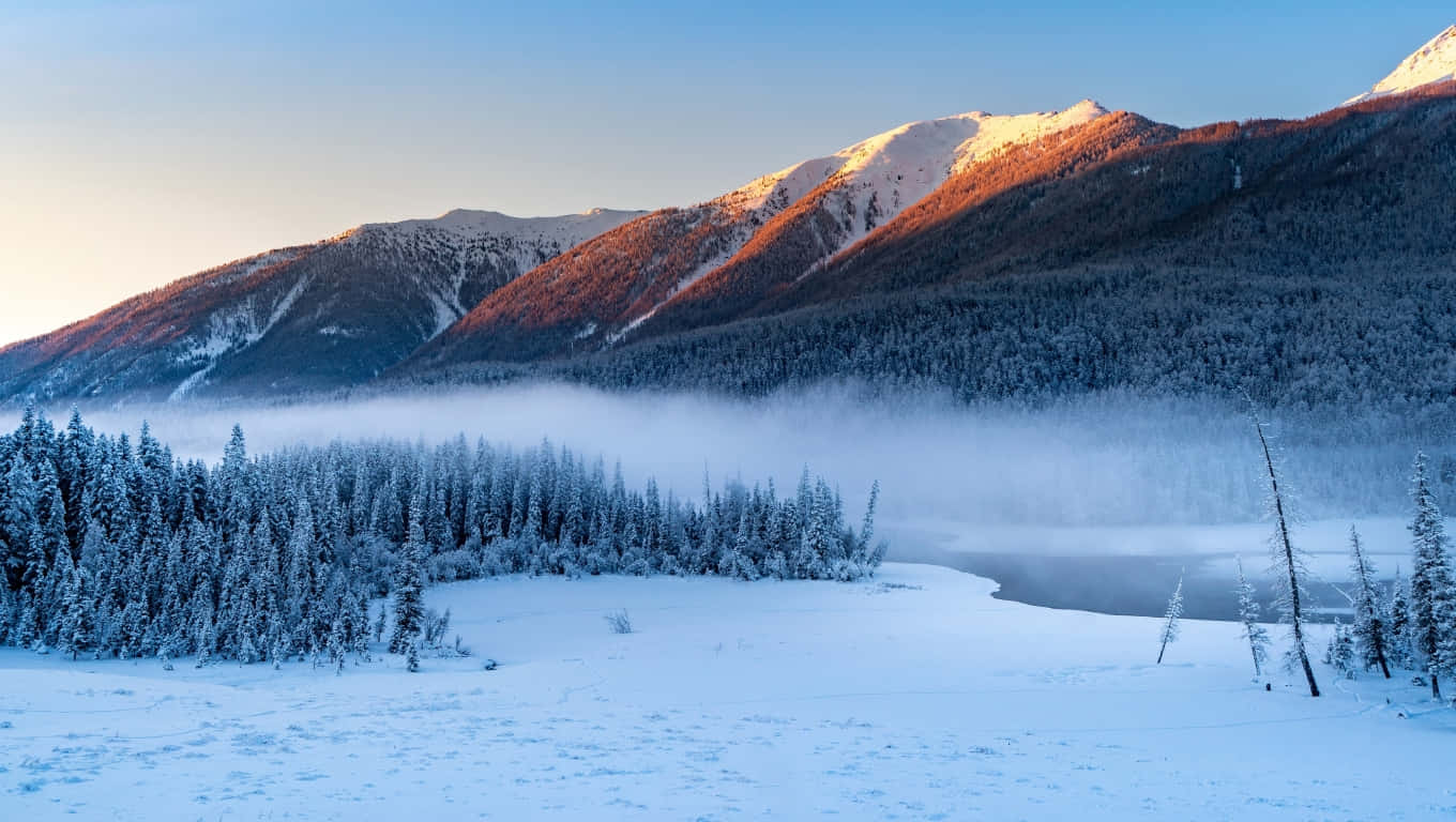 雪山與冰凍森林上昇起的霧氣，日出時分。