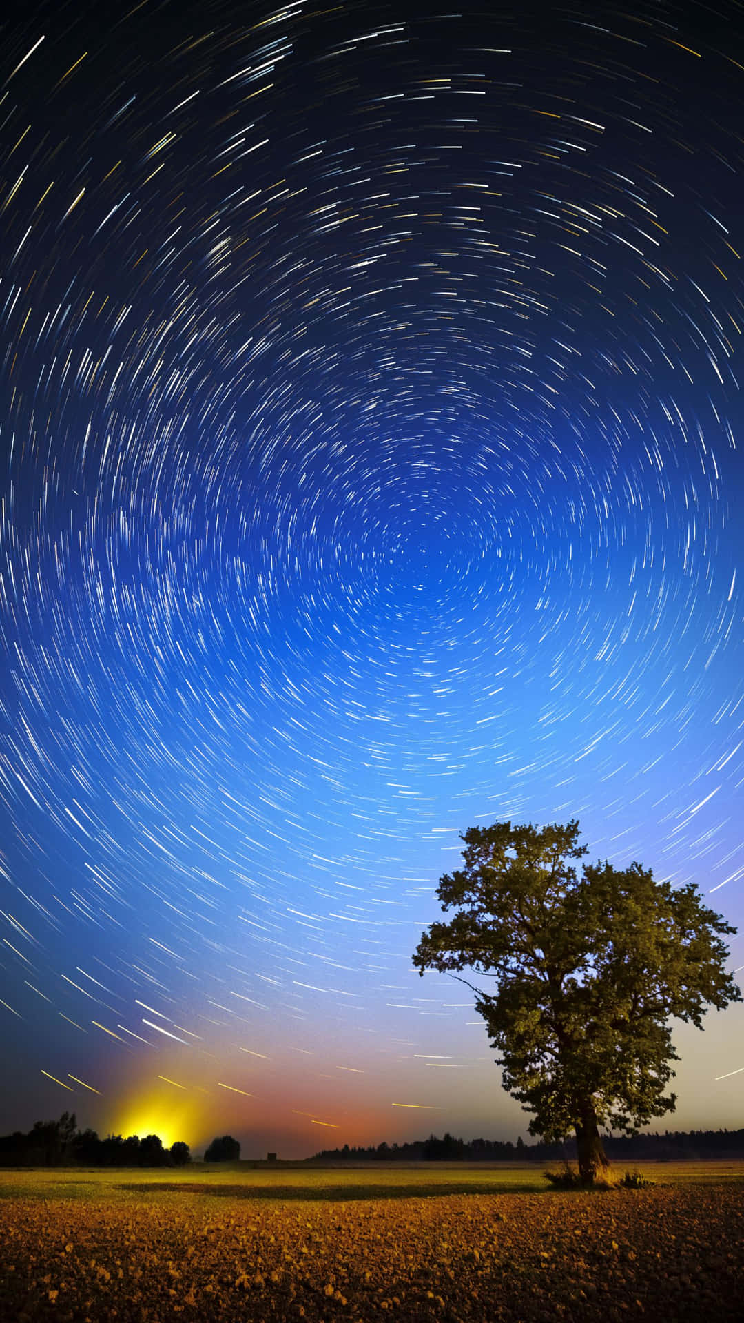一棵孤獨的樹在田野中，下方是充滿星軌漩渦的星空。