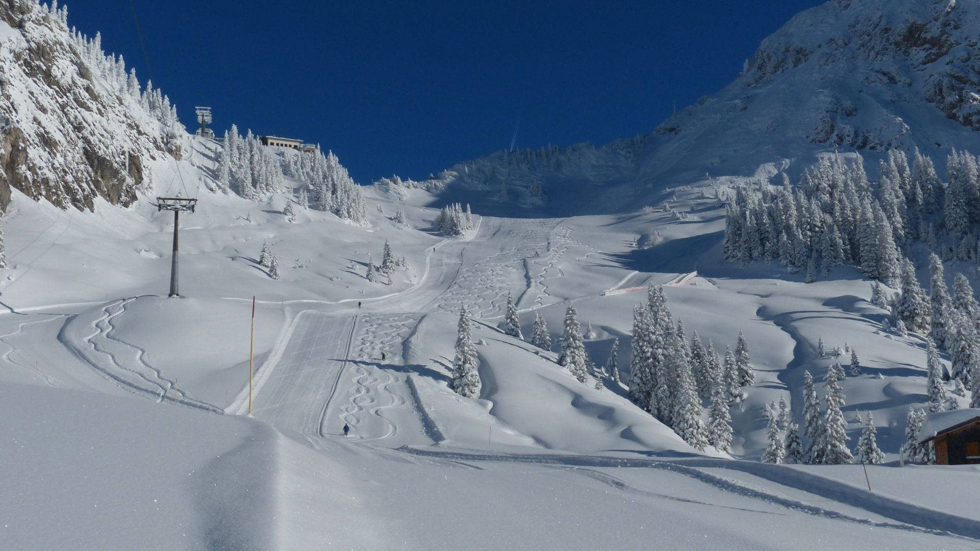 雪崩雪景山坡 壁紙 — 一名孤獨的滑雪者沿著陽光明媚的雪坡滑下，兩旁是白雪覆蓋的常青樹，頭頂是清澈的藍天。