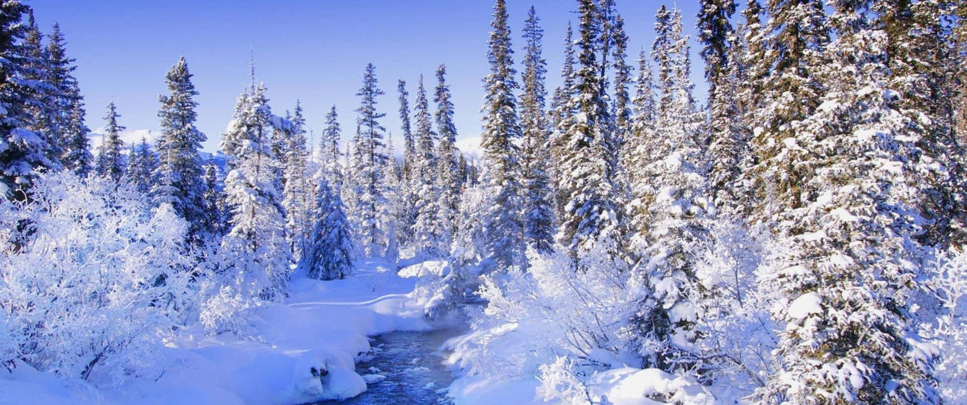 白雪覆蓋的森林，小溪在清澈的藍天下流淌。