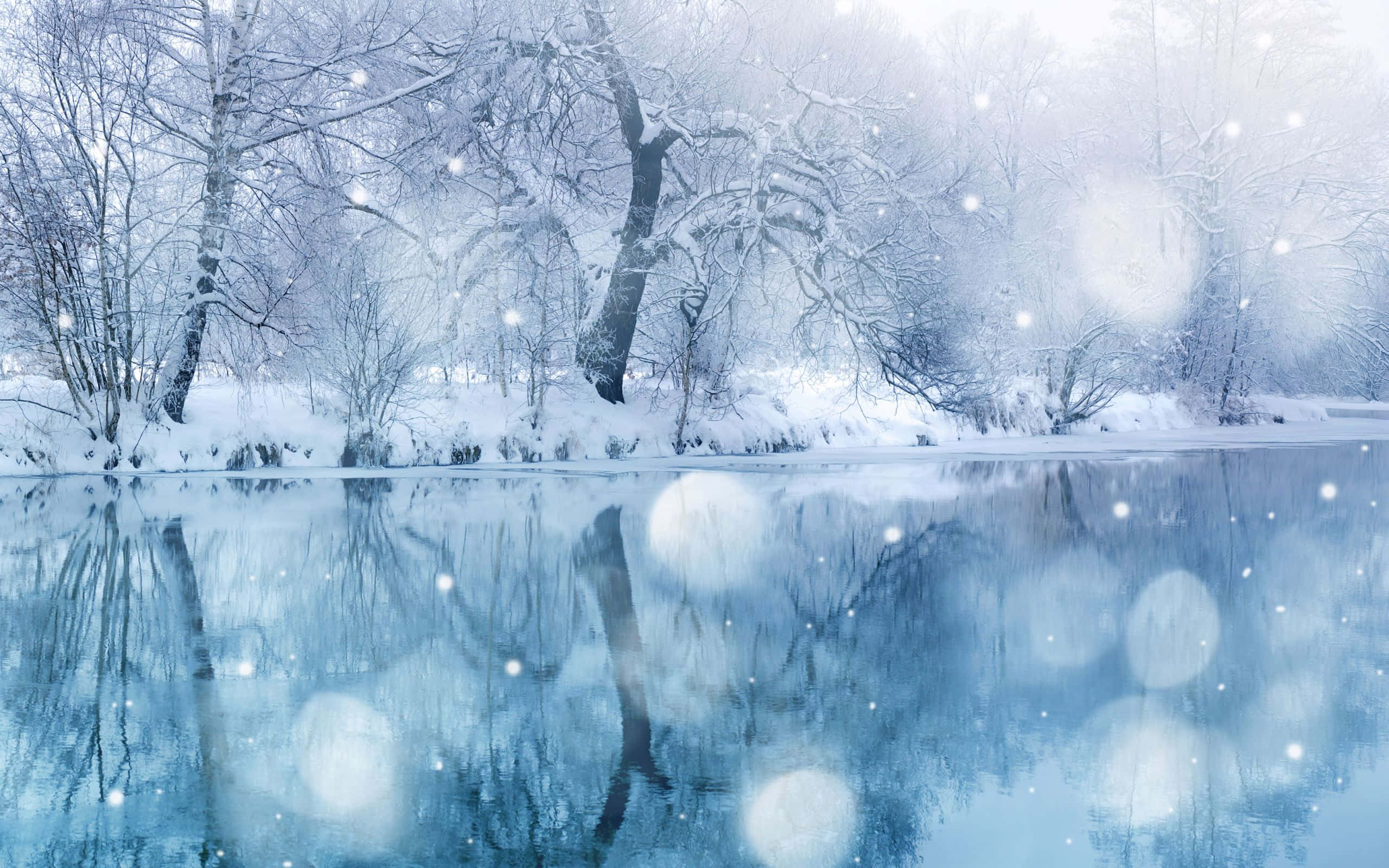 積雪的樹木在飄雪下倒映在結冰的湖面上。