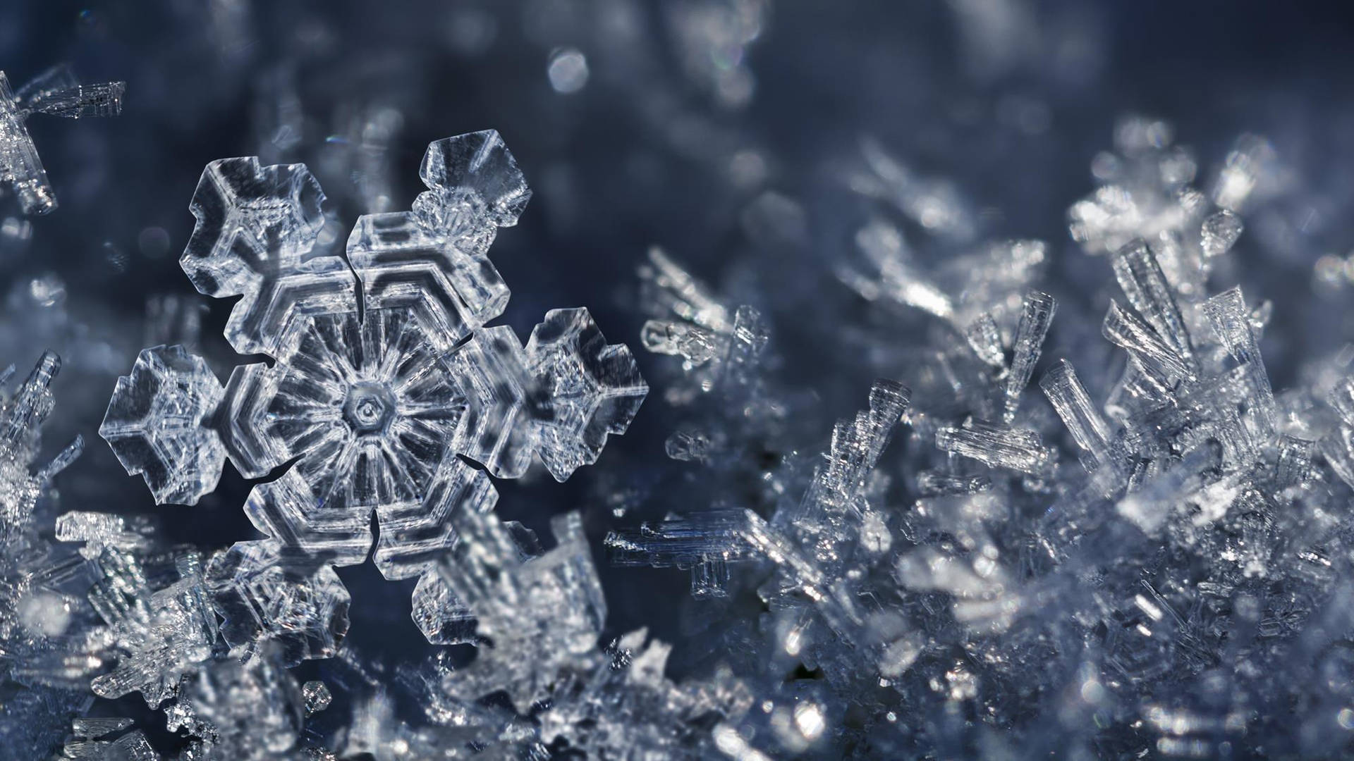 雪景冰簾 壁紙 — 一張令人驚嘆的微距照片，展示了一個完美形成的冰晶雪花，在柔和的藍色散景背景下閃耀著複雜的幾何細節。